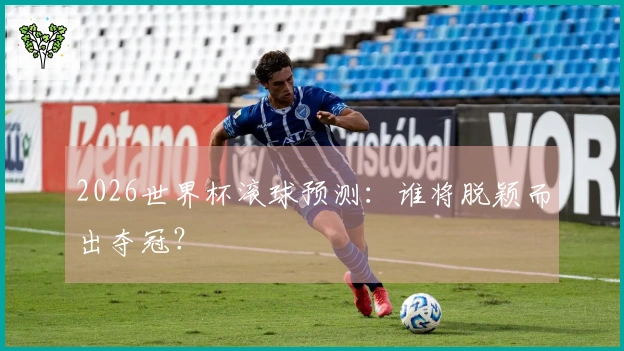 2026世界杯滚球预测：谁将脱颖而出夺冠？