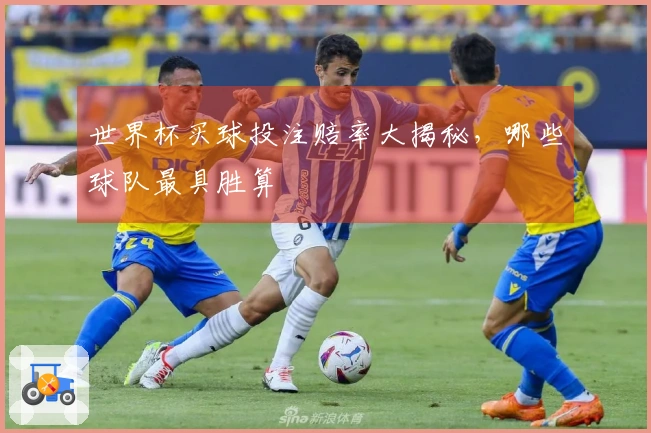 世界杯买球投注赔率大揭秘，哪些球队最具胜算