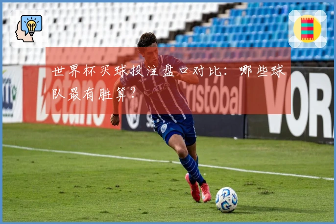 世界杯买球投注盘口对比：哪些球队最有胜算？