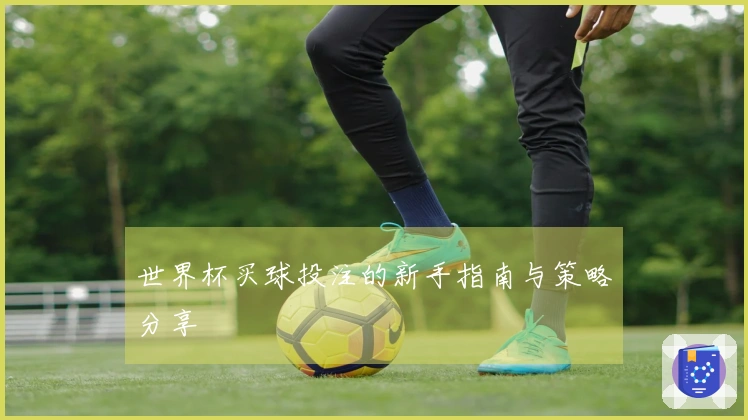 世界杯买球投注的新手指南与策略分享
