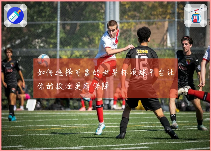 如何选择可靠的世界杯滚球平台让你的投注更有保障
