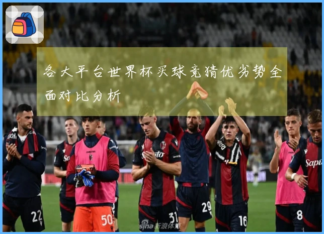 各大平台世界杯买球竞猜优劣势全面对比分析
