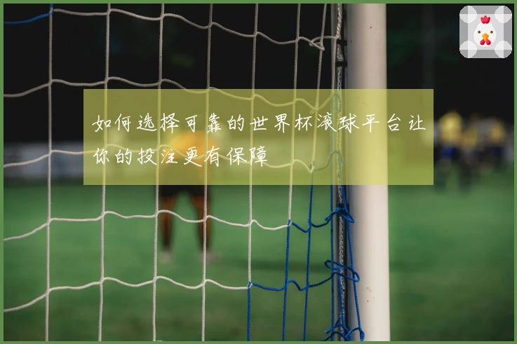 如何选择可靠的世界杯滚球平台让你的投注更有保障