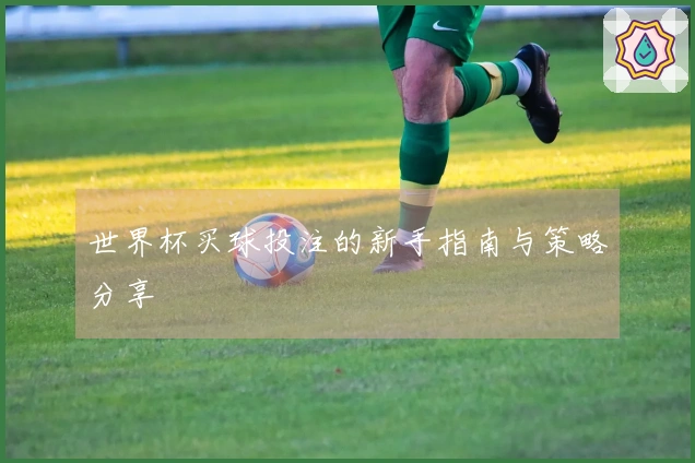 世界杯买球投注的新手指南与策略分享
