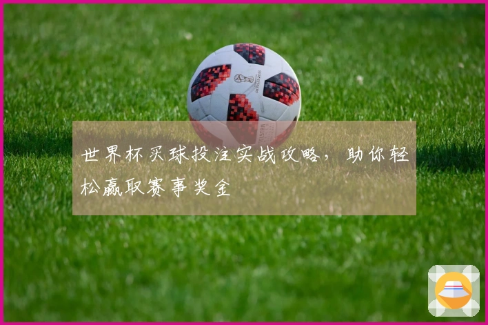 世界杯买球投注实战攻略，助你轻松赢取赛事奖金