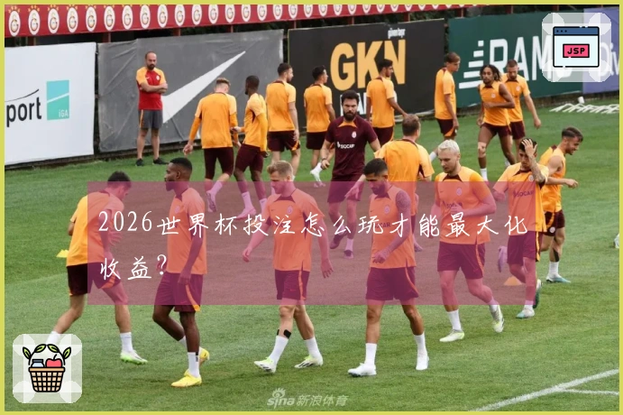 2026世界杯投注怎么玩才能最大化收益？
